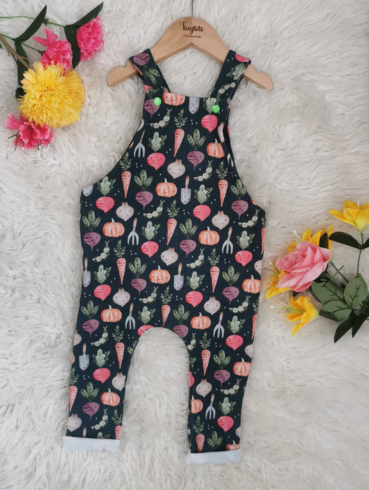 Vegetable dungarees 18-24.